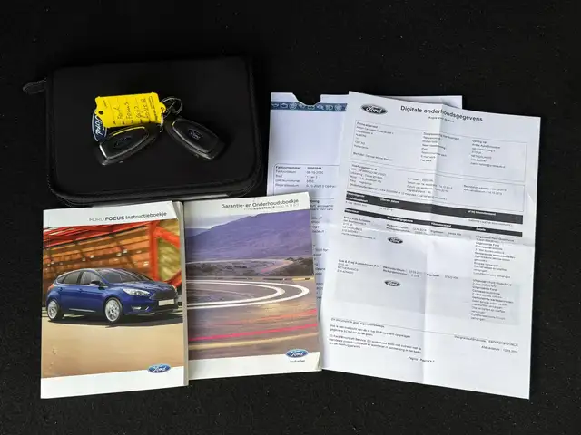 Ford Focus view 10