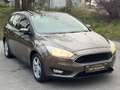 Ford Focus Traveller EcoBoost Trend Automatik 1.Besitz seh... Braun - thumbnail 4