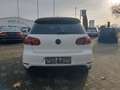 Volkswagen Golf 2.0 DSG GTI Edition 35 Navi Xenon 2Hd Alu18 Weiß - thumbnail 6