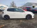Volkswagen Golf 2.0 DSG GTI Edition 35 Navi Xenon 2Hd Alu18 Weiß - thumbnail 4