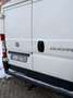 Fiat Ducato 115 Weiß - thumbnail 8