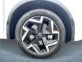 Volkswagen Tiguan R-Line 2.0TDI 4M DSG 360+DCC+Stdhz+AHK+ACC Weiß - thumbnail 8