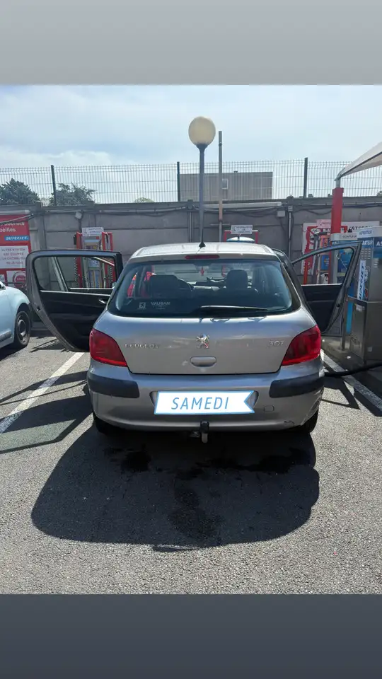 Peugeot 307 1.6i 16V Griffe
