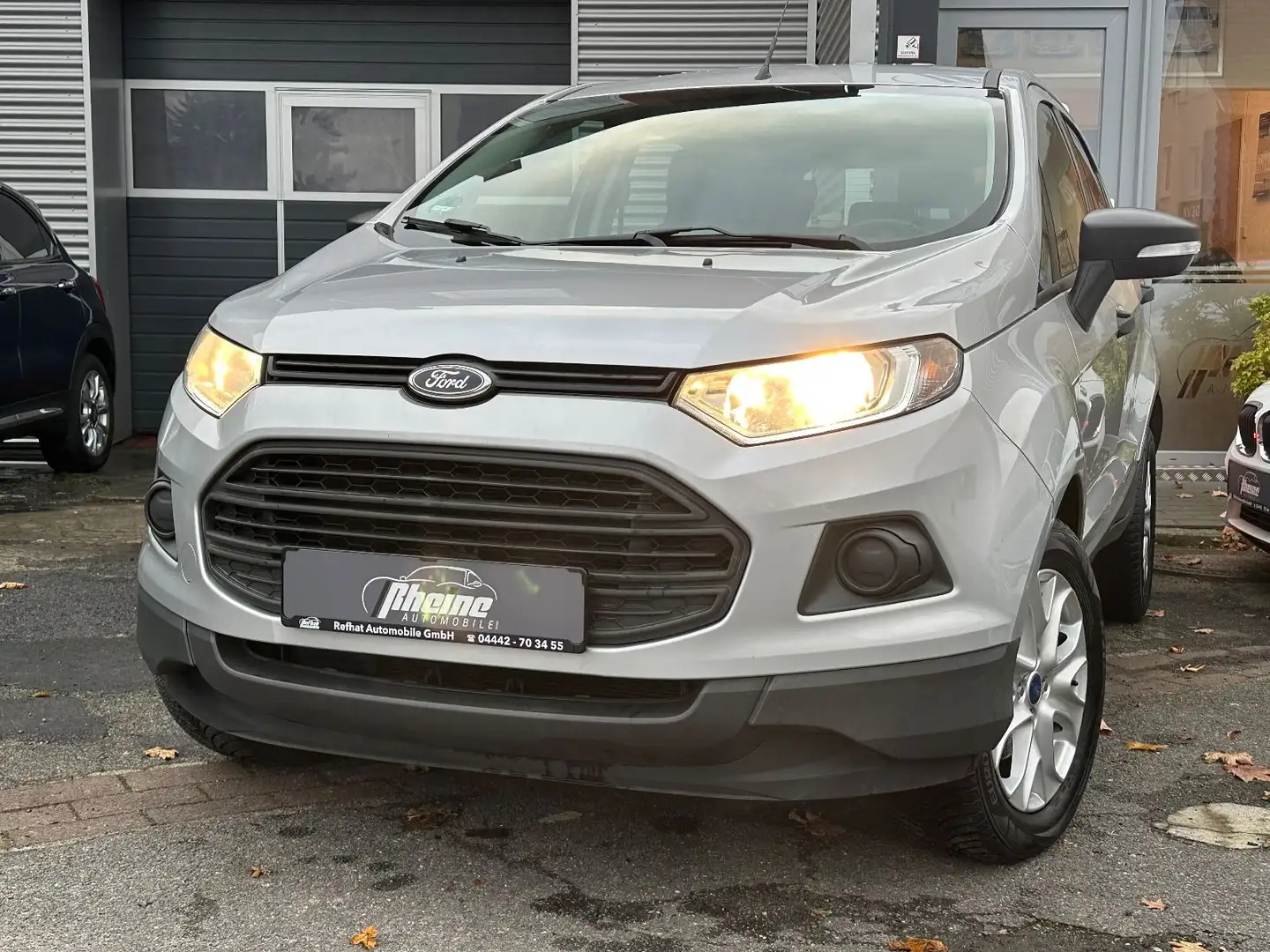 Ford EcoSport Trend Grau - 1