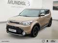 Kia Soul Dream Team Navi Soundsystem Apple CarPlay Android Braun - thumbnail 1