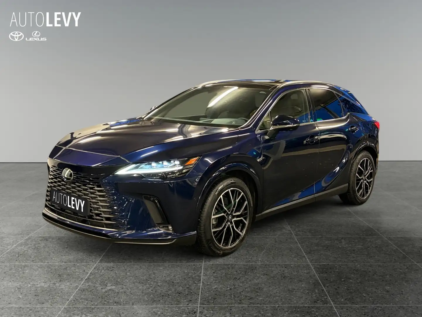 Lexus RX 450h + E-Four Luxury Line *M&L*PANO*360* Albastru - 2