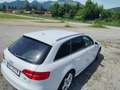 Audi A4 Attraction quattro Weiß - thumbnail 5