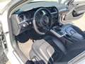 Audi A4 Attraction quattro Weiß - thumbnail 11