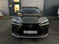 Lexus NX 350h F-Sport Groen - thumbnail 1