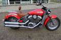 Indian Scout Rot - thumbnail 7