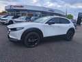 Mazda CX-30 e-Skyactive G122 Homura Automatik JAHRESWAGEN-A... Blanc - thumbnail 6