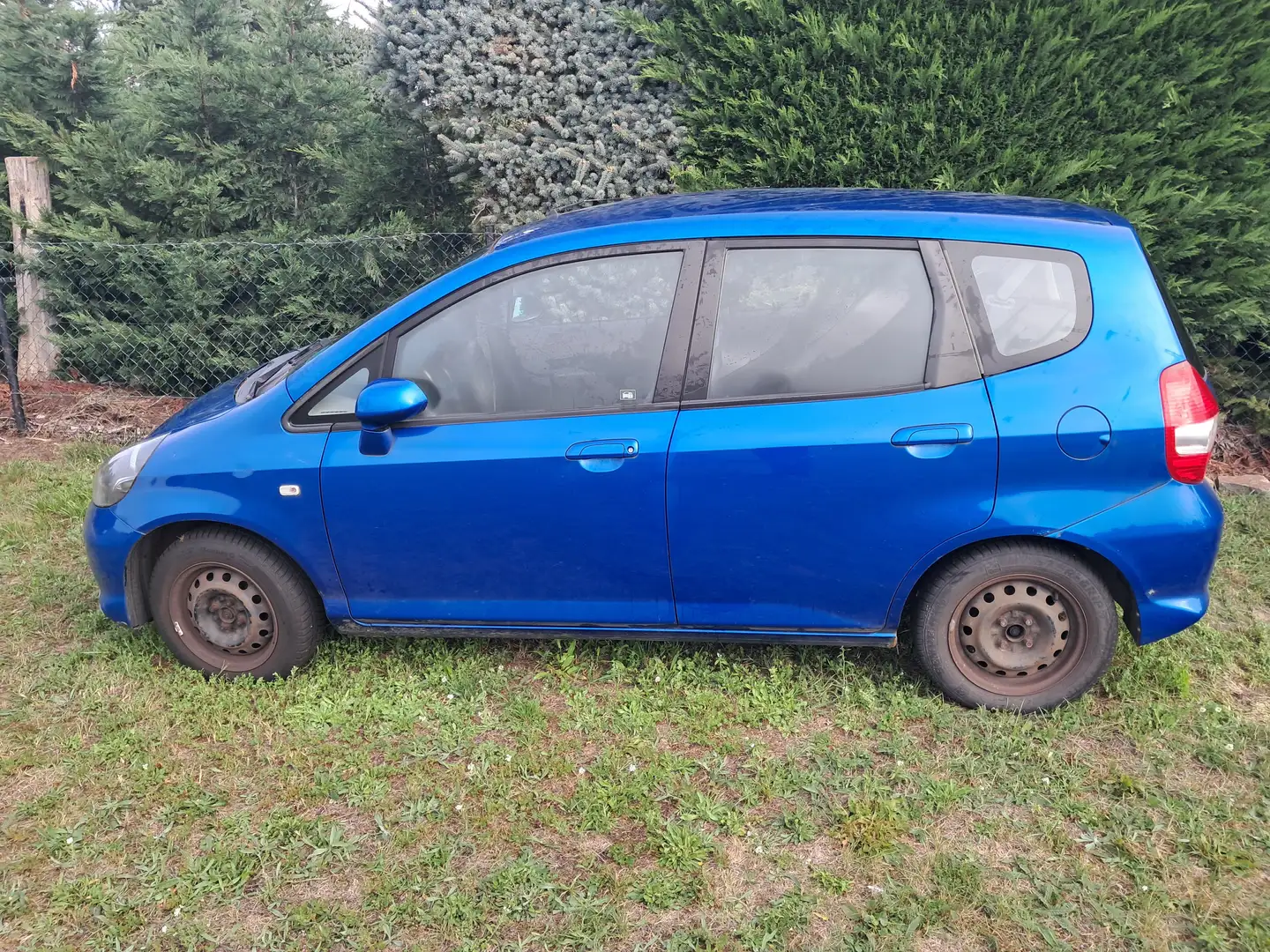 Honda Jazz Jazz 1.2 Blau - 1
