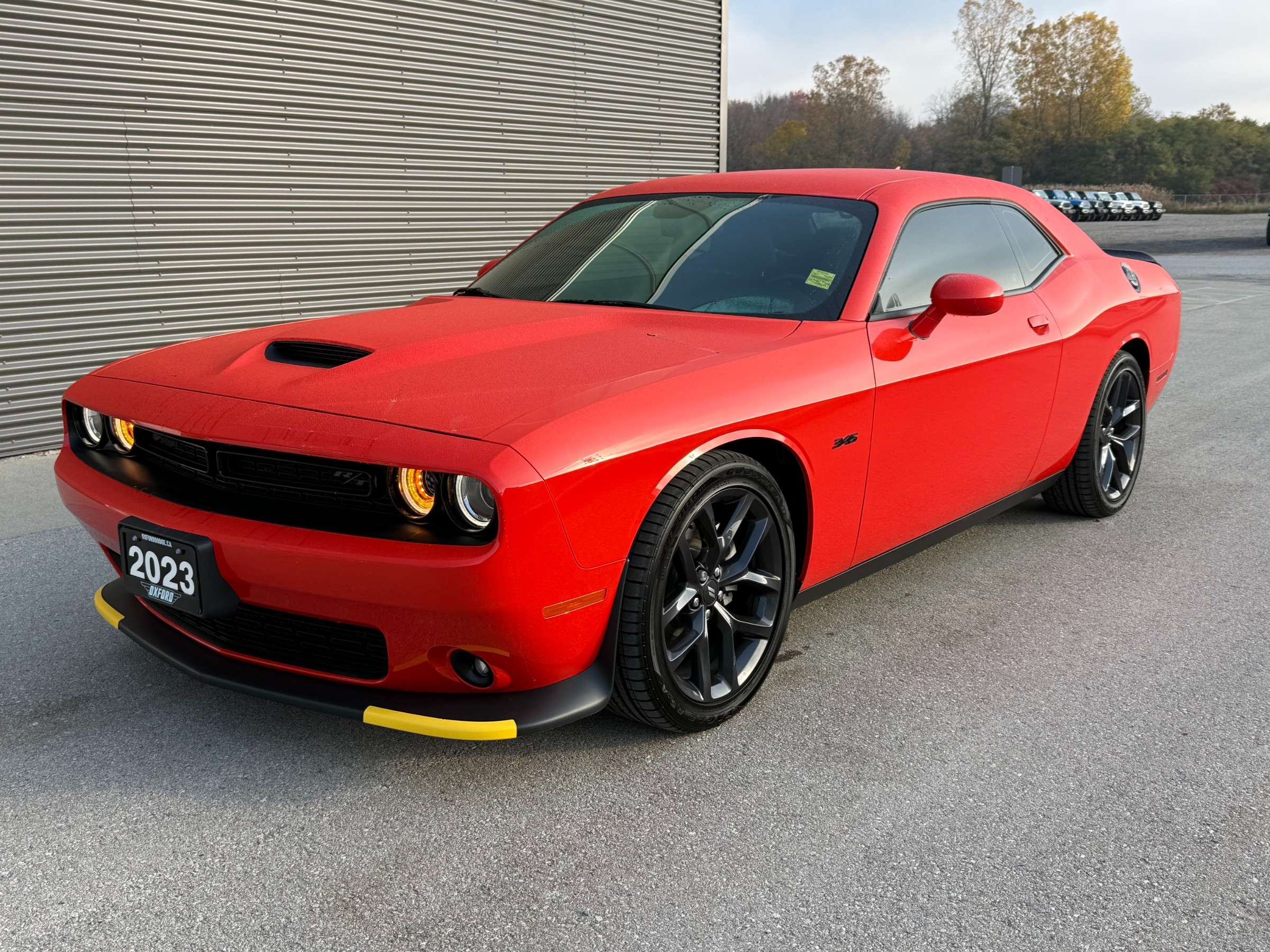 2023 Dodge Challenger R/T LOW KM | ONE OWNER | NO REPORTED ACCIDENTS