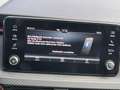 Skoda Kamiq 1.5 TSI DSG Monte Carlo AHK ALU 17" PANO LED PDC R Grau - thumbnail 21