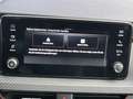 Skoda Kamiq 1.5 TSI DSG Monte Carlo AHK ALU 17" PANO LED PDC R Grau - thumbnail 20