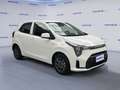 Kia Picanto 1.0 12V 5 porte Urban Bianco - thumbnail 2