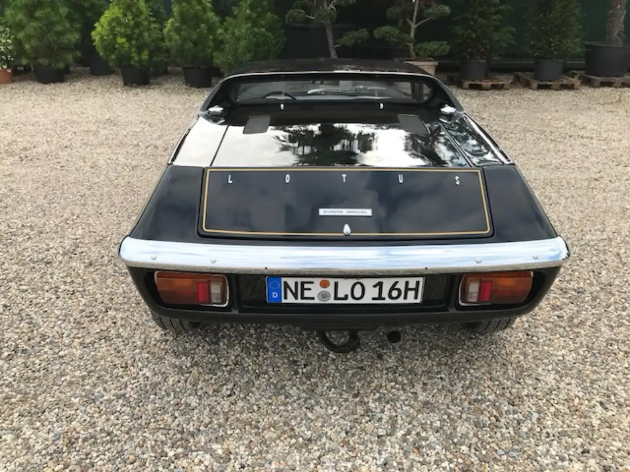 lotus Europa Spezial (full restauration), foto 4