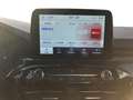 Ford Kuga 2.5 Duratec Plug-in-Hybrid PHEV ST-Line X ( Gris - thumbnail 13