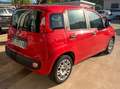 Fiat Panda Panda 1.2 Easy 69cv Rosso - thumbnail 4