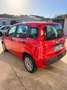 Fiat Panda Panda 1.2 Easy 69cv Rosso - thumbnail 3
