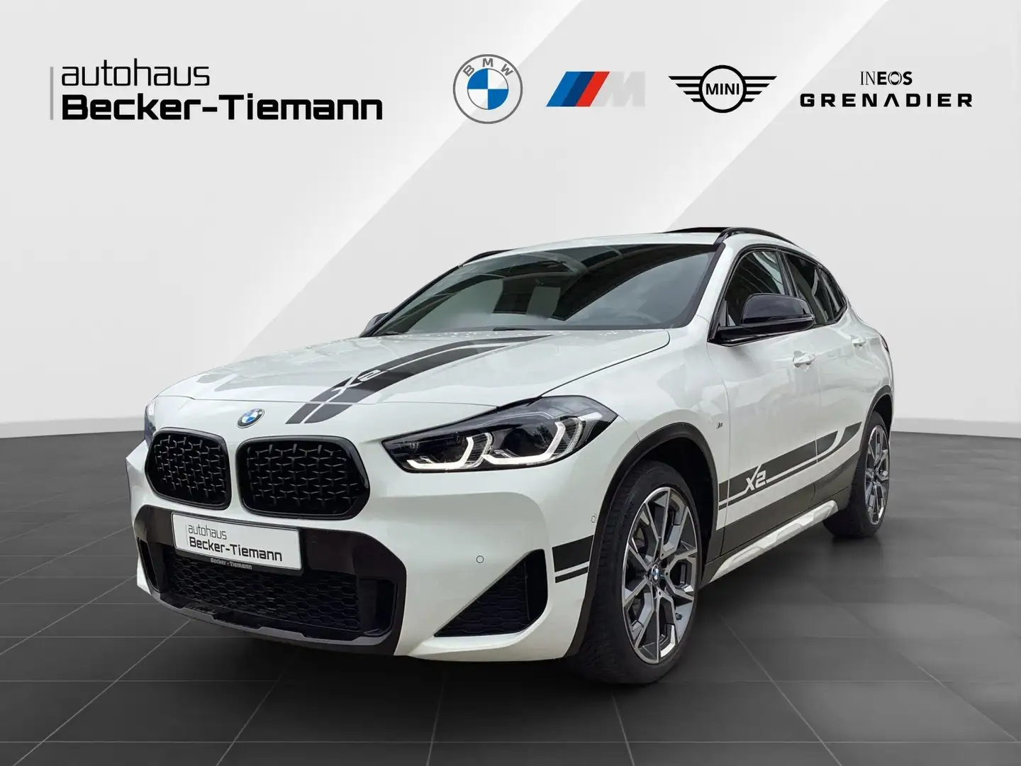 BMW X2 xDrive20i 19" / Edition M Mesh Paket / AHK / Pano Wit - 1