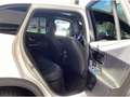 Mercedes-Benz EQE 500 EQE500 SUV AMG Prem+ ARMATIC Massage AHK 22KW TV Blanco - thumbnail 9