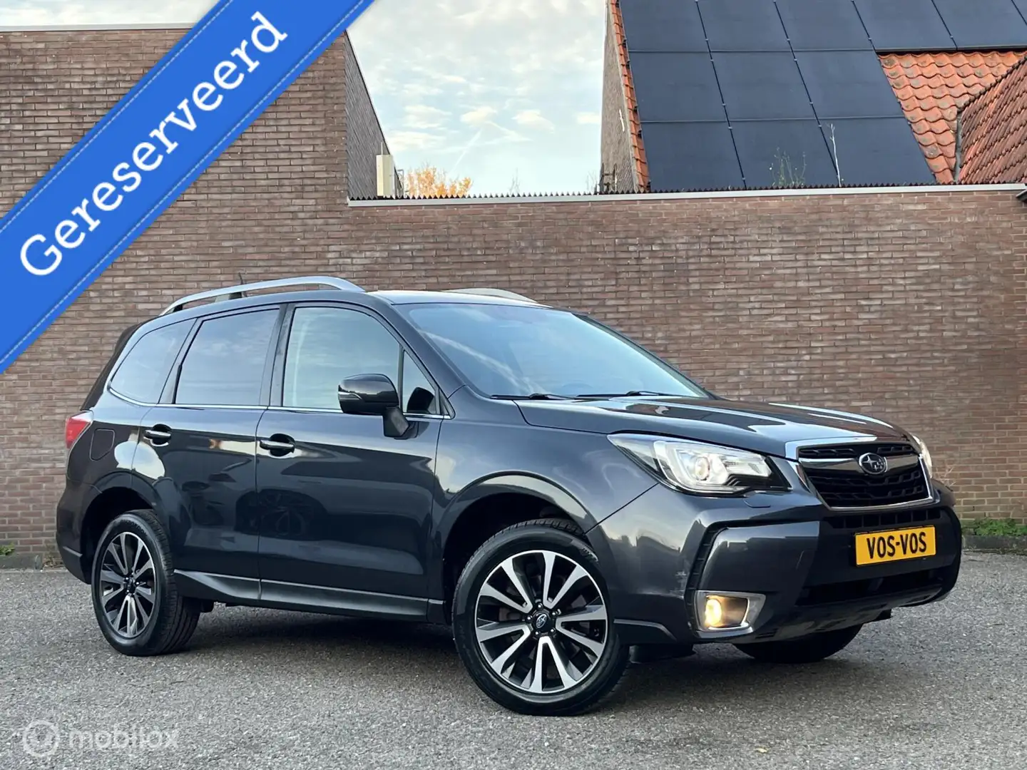 Subaru Forester 2.0 XT Sport Premium| 240PK| Winterpakket - 2