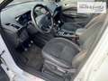 Ford Kuga ST-Line AHK-abnehmbar Bi-Xenon El. Heckklappe Blanc - thumbnail 7
