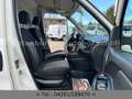Fiat Doblo SX 1.6*KASTEN*KLIMAAUTOMATIK*AHK*1.HAND* Weiß - thumbnail 14
