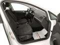 Volkswagen Golf 1.5 TGI DSG 5p. Business BlueMotion Technology Wit - thumbnail 21