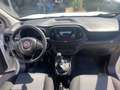 Fiat Doblo CARGO COMBI 1.3 Mijet 16v 95CV N1 IVA INCLUSA Blanc - thumbnail 16