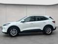 Ford Kuga 2.5 Duratec PHEV TITANIUM Weiß - thumbnail 2
