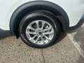 Ford Kuga 2.5 Duratec PHEV TITANIUM Weiß - thumbnail 19