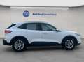 Ford Kuga 2.5 Duratec PHEV TITANIUM Weiß - thumbnail 7