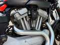Harley-Davidson XR 1200 - thumbnail 16