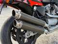 Harley-Davidson XR 1200 - thumbnail 18