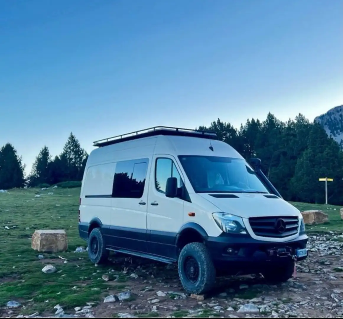 Mercedes-Benz Sprinter Furgón 316CDI Medio T.E. - 2