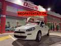 Fiat Punto 5p 1.3 mjt Street s, NEOPATENTATI OK! Bianco - thumbnail 1