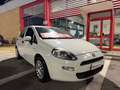 Fiat Punto 5p 1.3 mjt Street s, NEOPATENTATI OK! Bianco - thumbnail 7