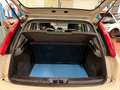 Fiat Punto 5p 1.3 mjt Street s, NEOPATENTATI OK! Bianco - thumbnail 6