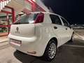 Fiat Punto 5p 1.3 mjt Street s, NEOPATENTATI OK! Bianco - thumbnail 11