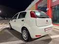 Fiat Punto 5p 1.3 mjt Street s, NEOPATENTATI OK! Bianco - thumbnail 5