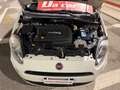 Fiat Punto 5p 1.3 mjt Street s, NEOPATENTATI OK! Bianco - thumbnail 15