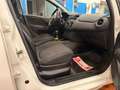 Fiat Punto 5p 1.3 mjt Street s, NEOPATENTATI OK! Bianco - thumbnail 8