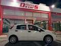 Fiat Punto 5p 1.3 mjt Street s, NEOPATENTATI OK! Bianco - thumbnail 9
