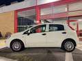 Fiat Punto 5p 1.3 mjt Street s, NEOPATENTATI OK! Bianco - thumbnail 3