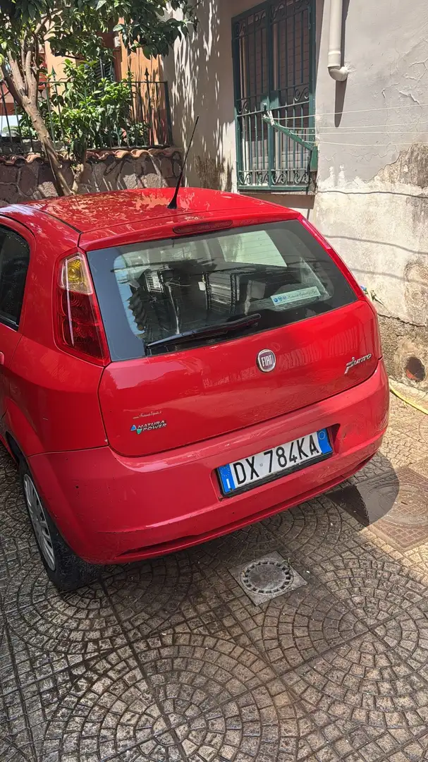 Fiat Punto 5p 1.2 natural power Classic Active - 2