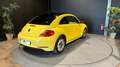 Volkswagen Coccinelle 1.6 TDI 105 Vintage Amarillo - thumbnail 7