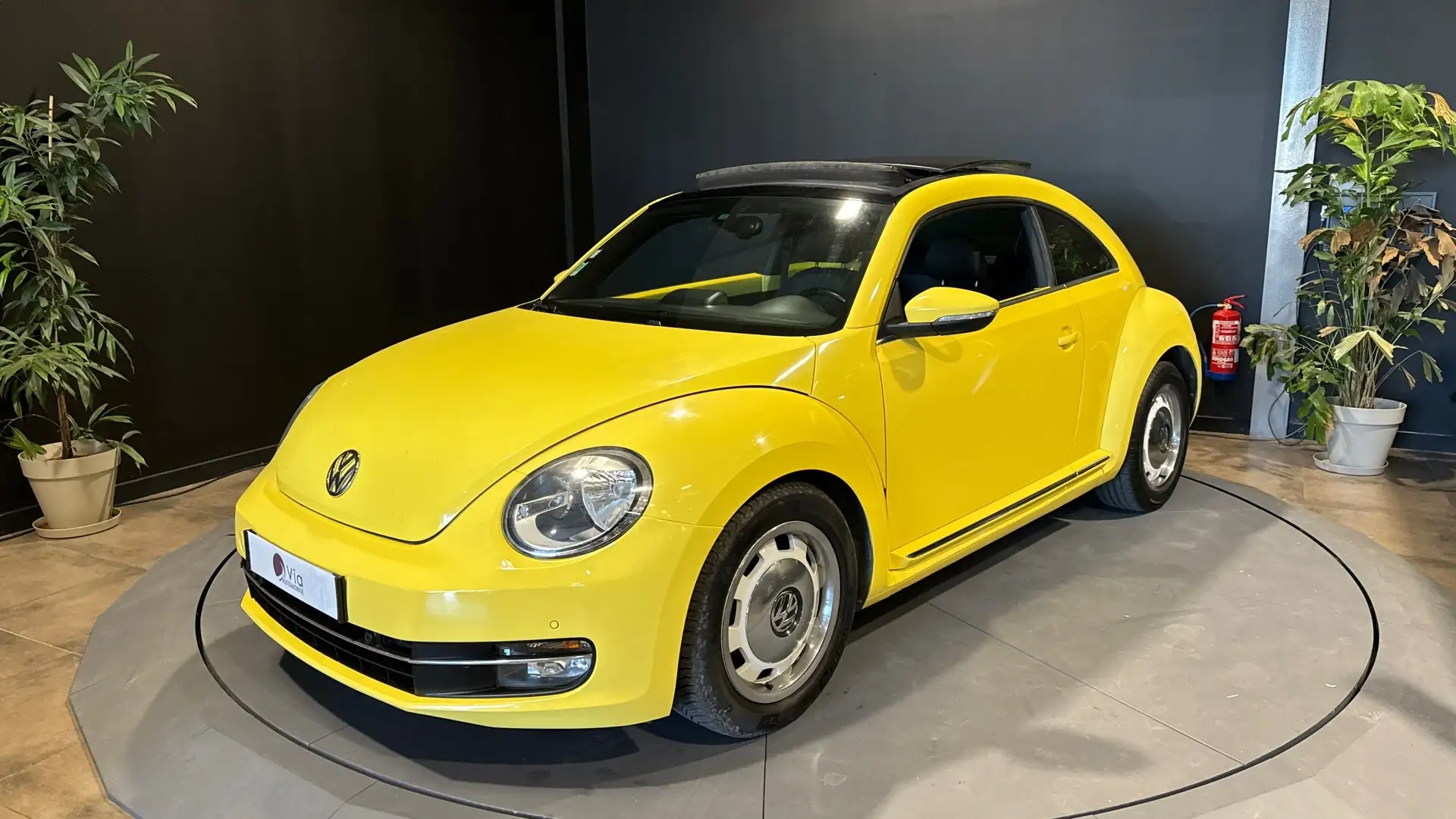 Volkswagen Coccinelle 1.6 TDI 105 Vintage Gelb - 1