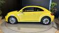 Volkswagen Coccinelle 1.6 TDI 105 Vintage Giallo - thumbnail 4